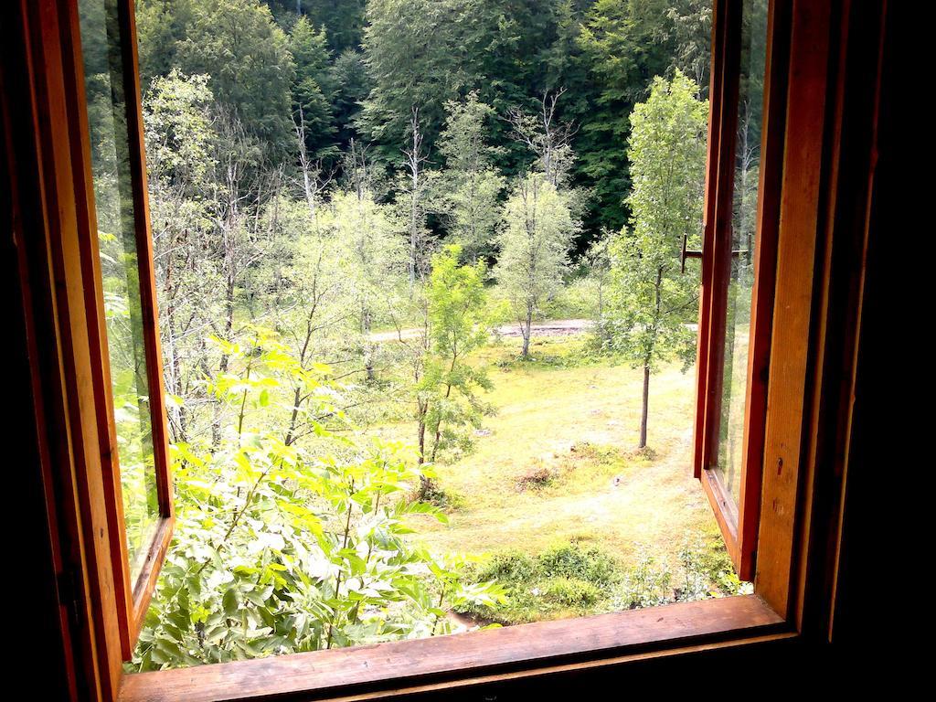 Vila Vanturis Hotel Sinaia Exterior photo